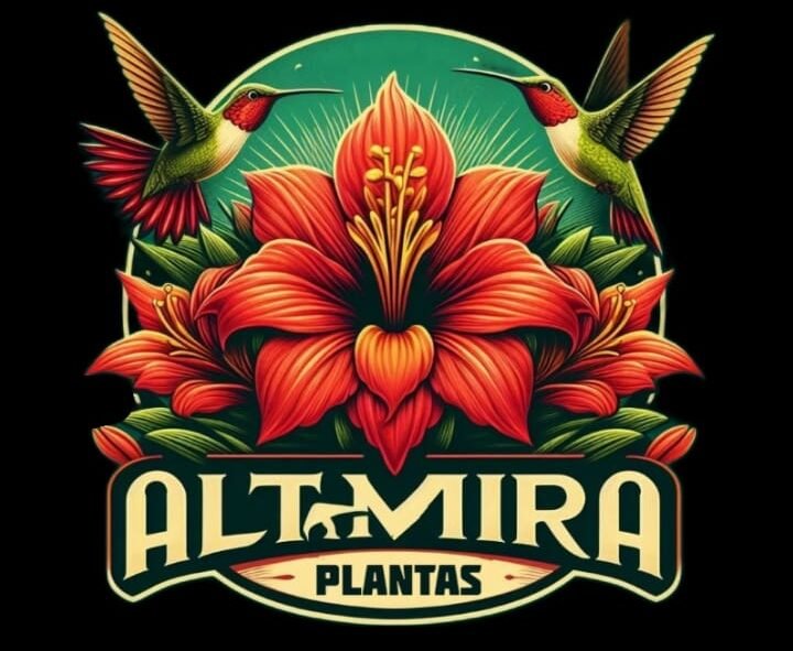 Altamira Plantas